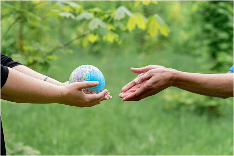 How Water-Absorbent Polymer Supports Sustainable Agriculture Hands cradling a miniature globe amidst a lush green forest backdrop, symbolizing environmental care and stewardship.